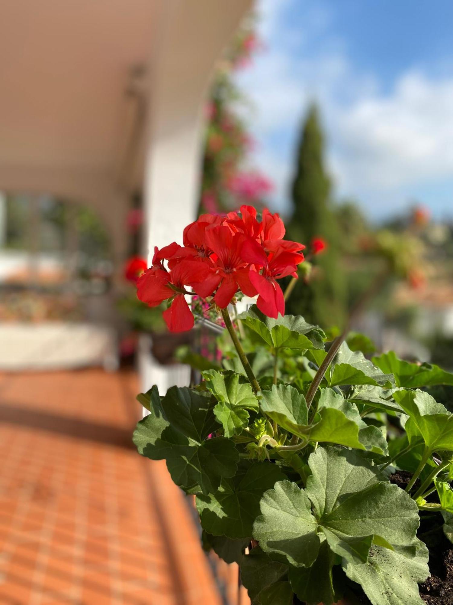 Casa Zawadi Mijas Exterior foto